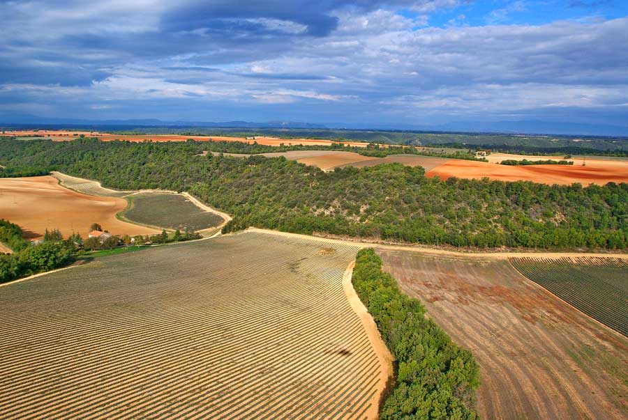 04plateau-valensole-3-1005