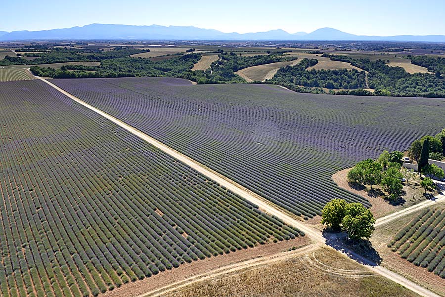 04plateau-valensole-30-0717