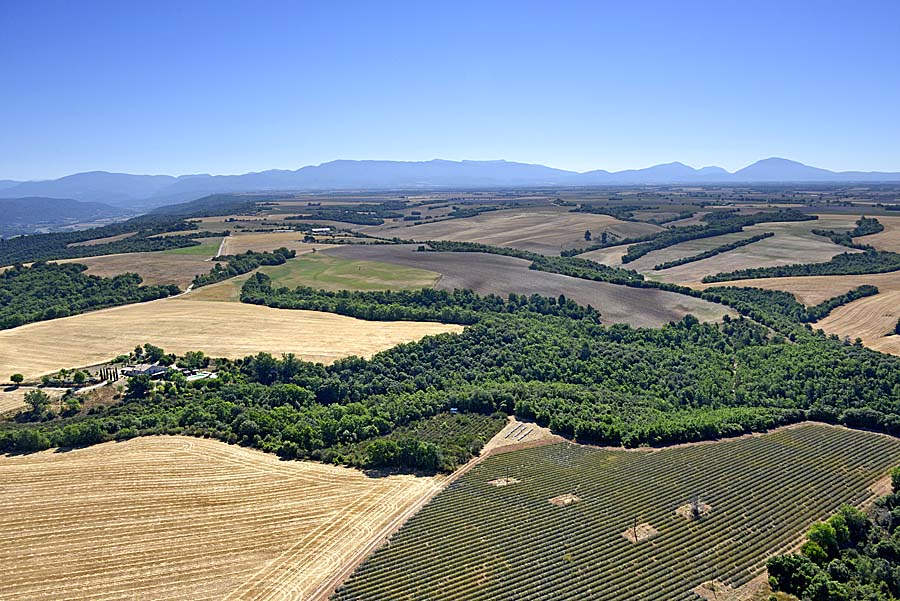 04plateau-valensole-31-0717