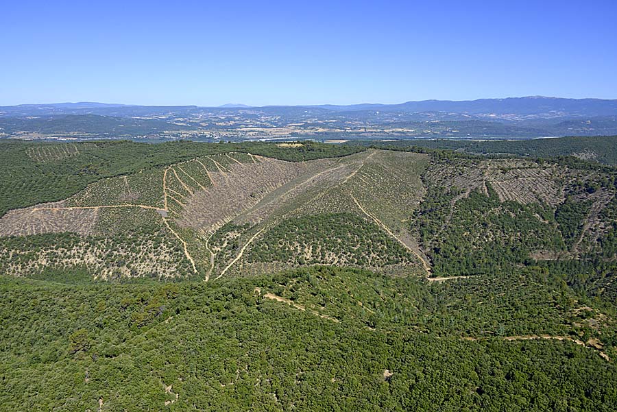 04plateau-valensole-33-0717