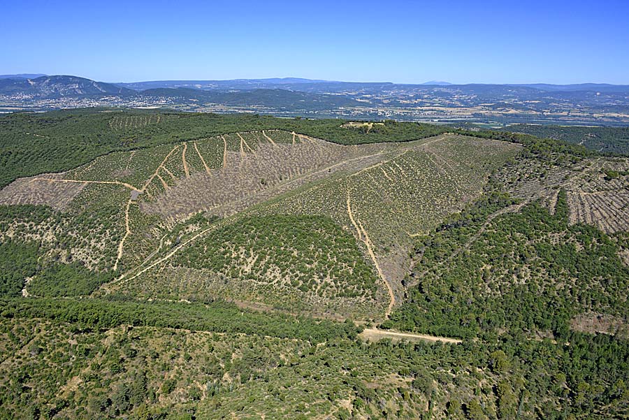 04plateau-valensole-35-0717