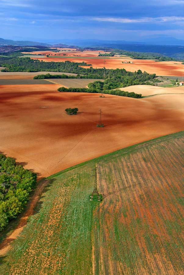 04plateau-valensole-4-1005