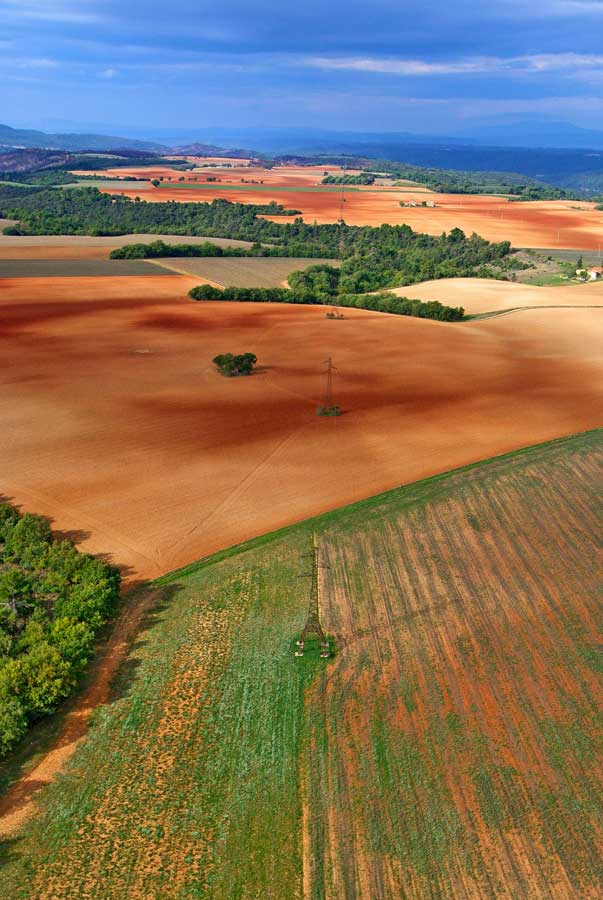 04plateau-valensole-4-1005