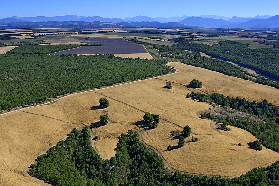 04plateau-valensole-5-0717