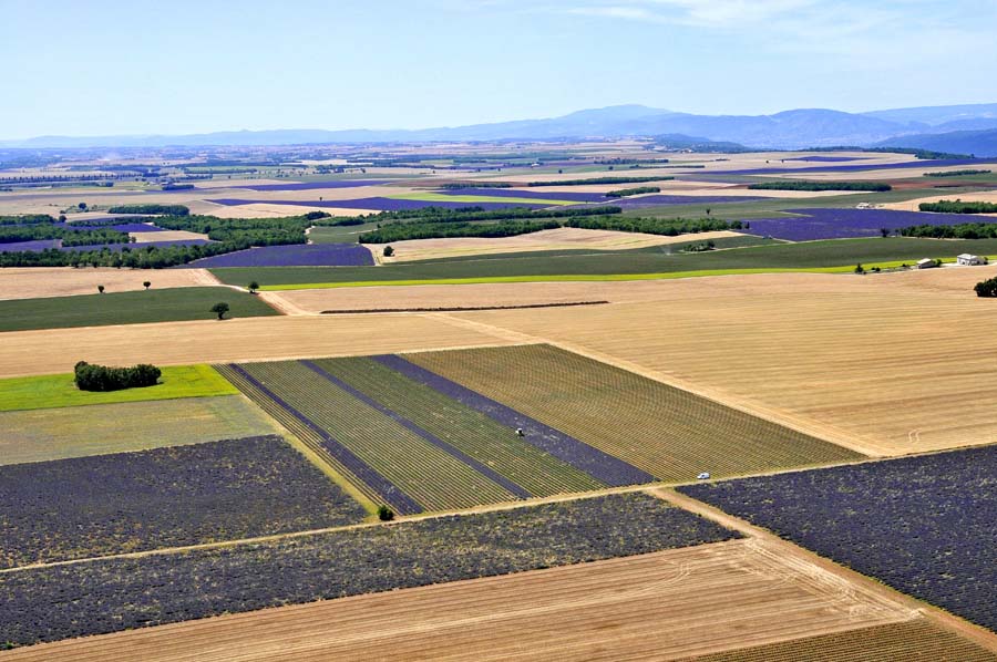 04plateau-valensole-5-0810