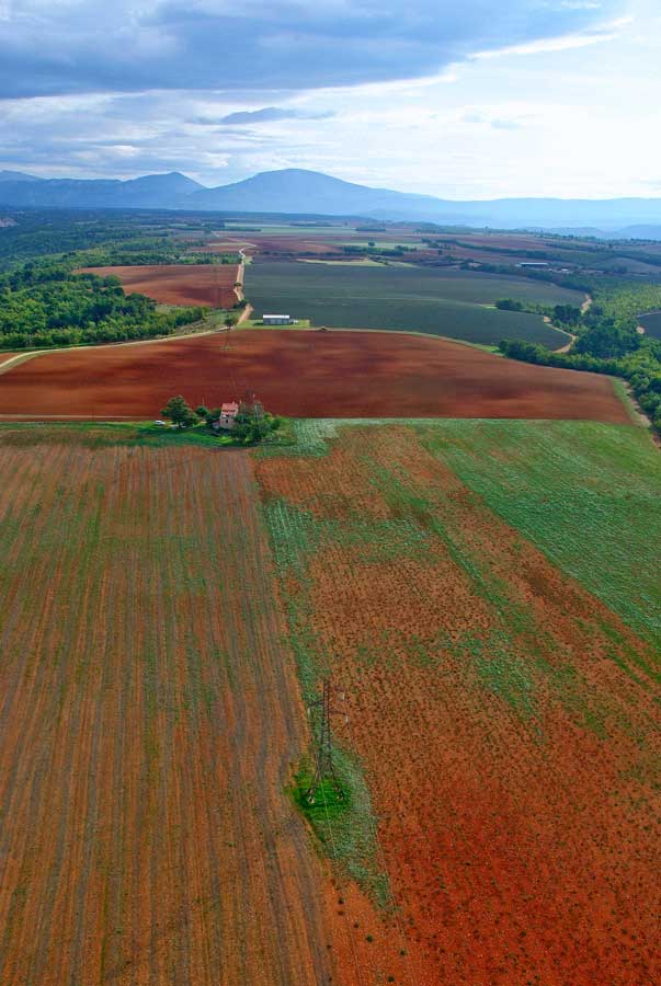 04plateau-valensole-5-1005