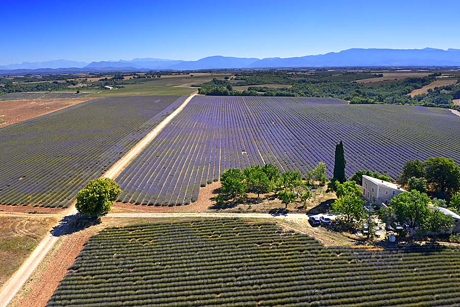 04plateau-valensole-8-0717