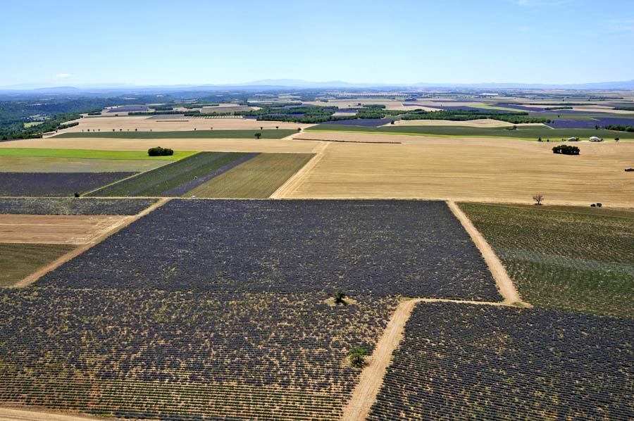 04plateau-valensole-8-0810