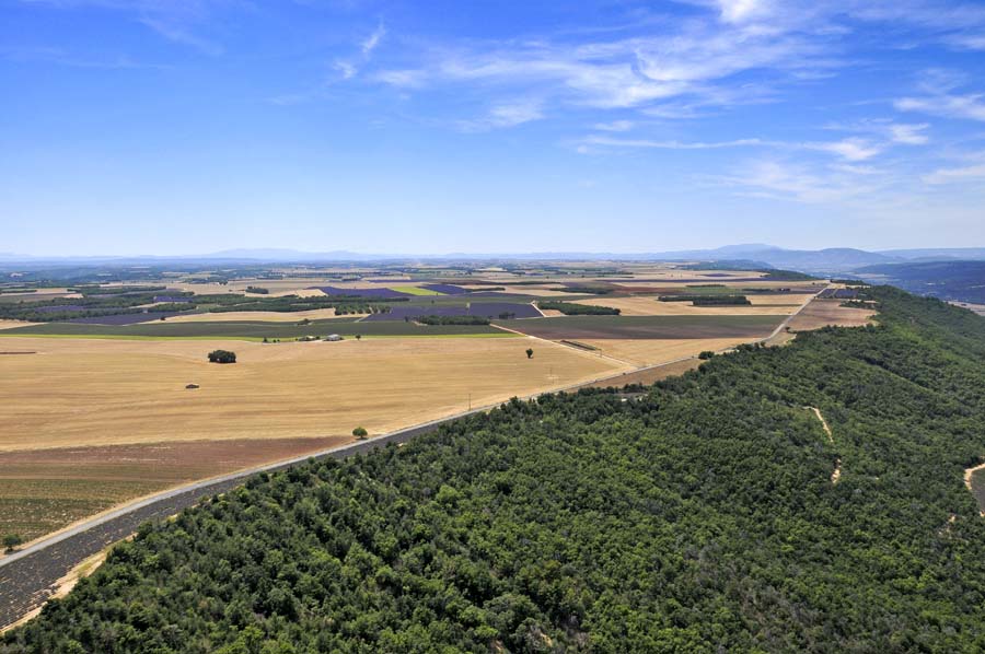 04plateau-valensole-9-0810