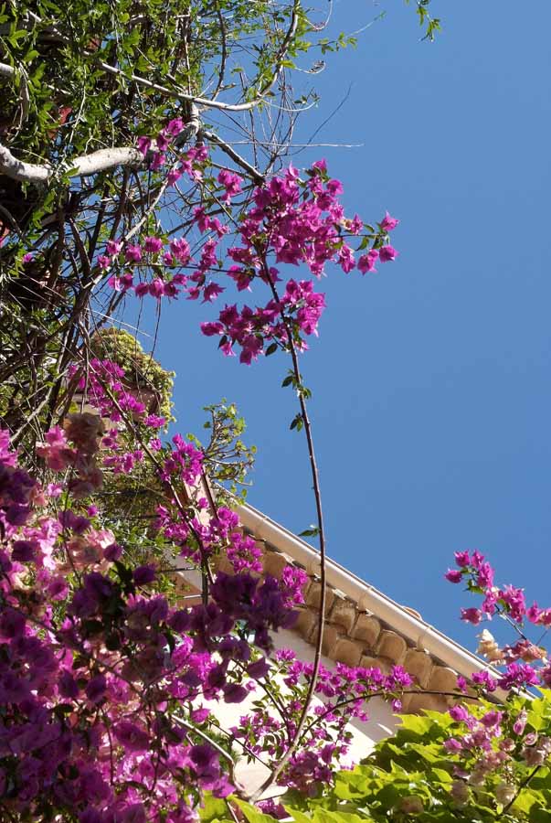 06mougins-90-0707