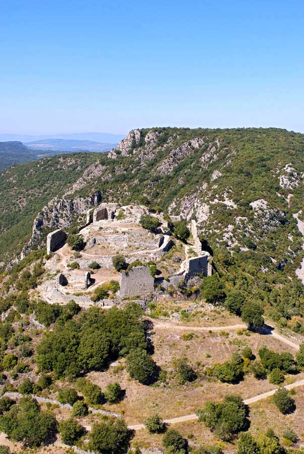 11termes-23-0907
