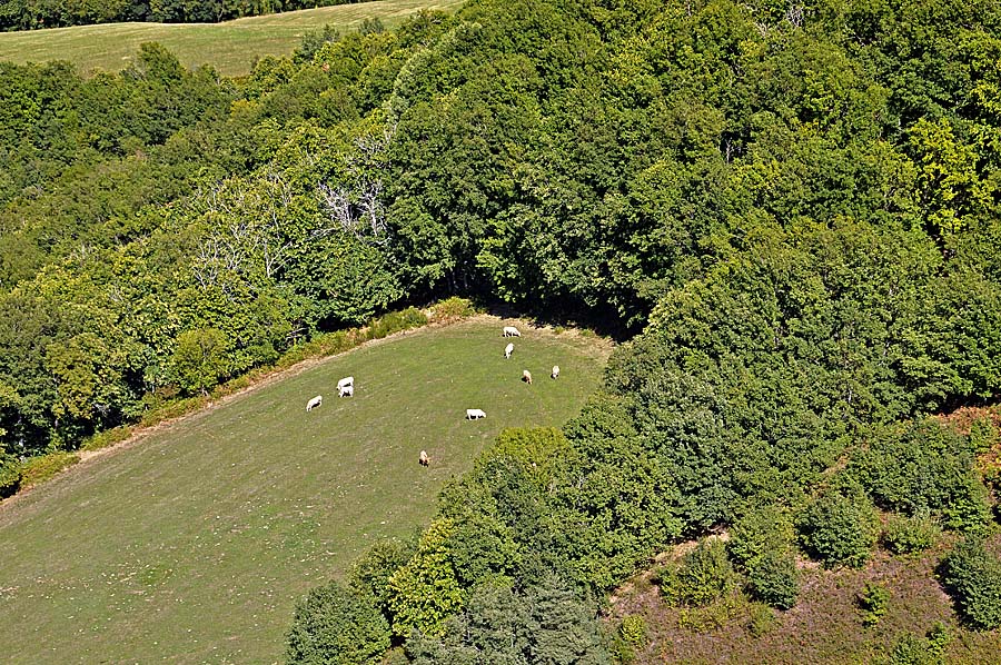 12agriculture-aveyron-12-0909