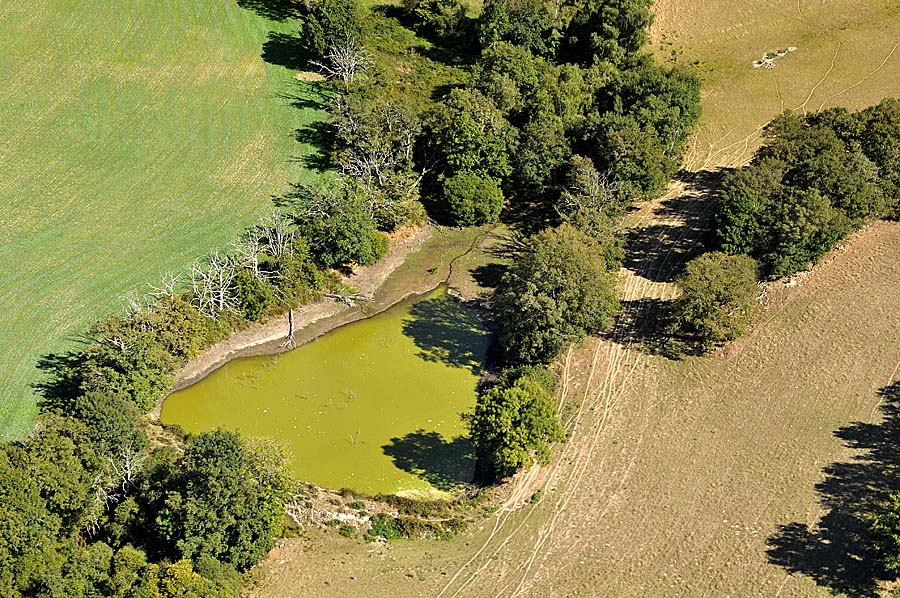 12agriculture-aveyron-20-0909