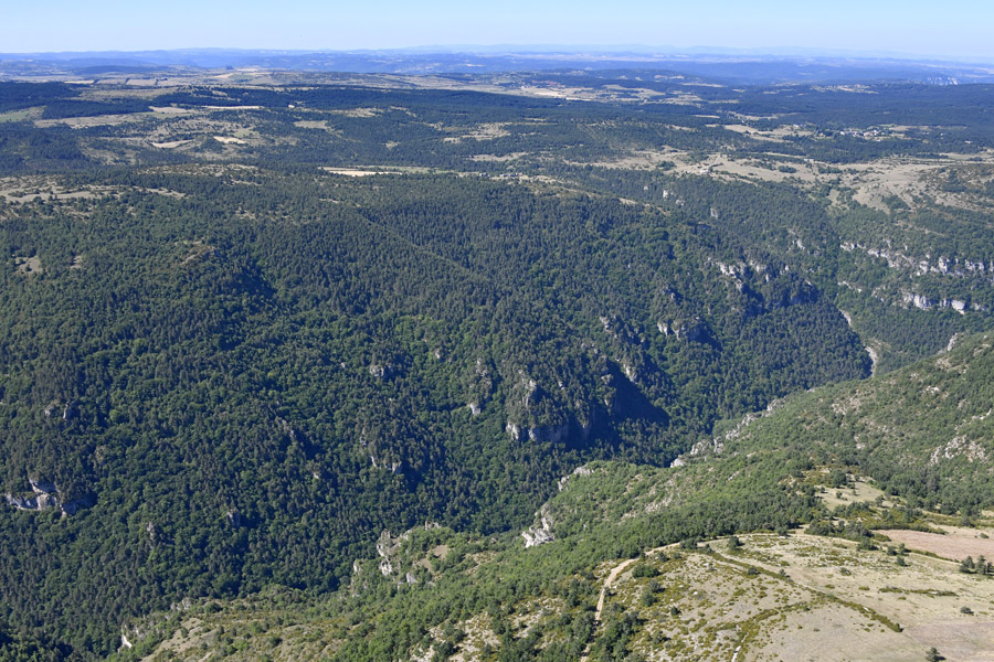 12gorges-de-la-dourbie-8-0622