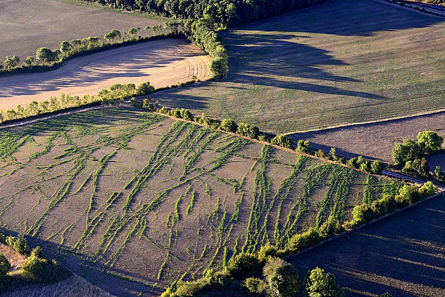 12larzac-26-0817