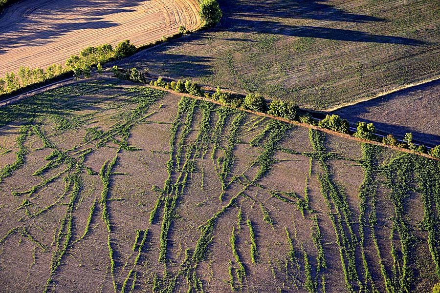 12larzac-27-0817