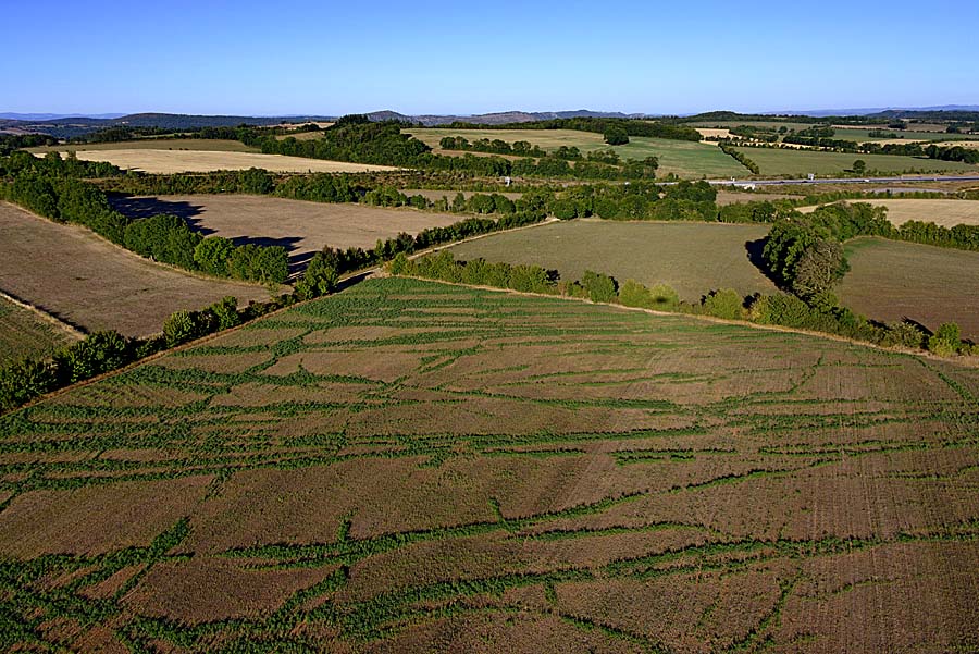 12larzac-35-0817