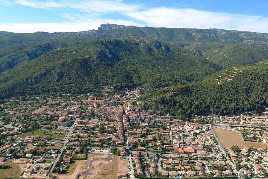13cuges-les-pins-8-0604