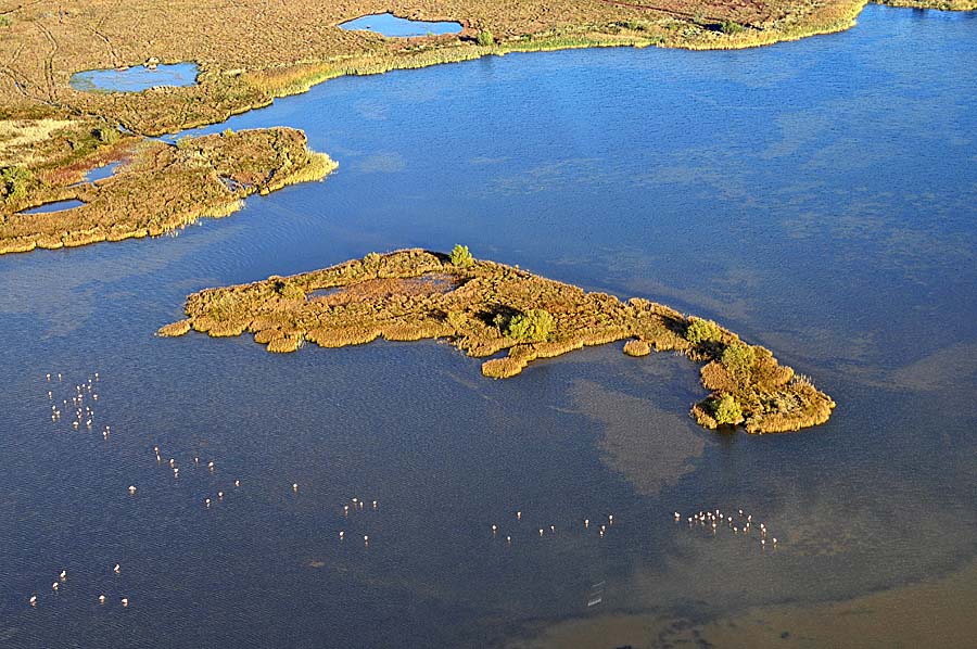 13etang-du-grand-palun-11-1009