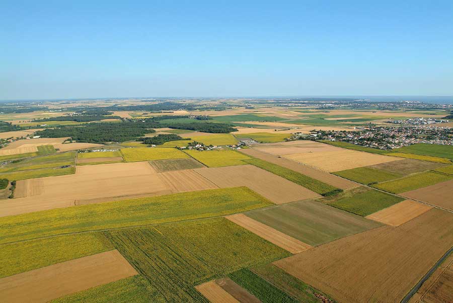17agriculture-6-e