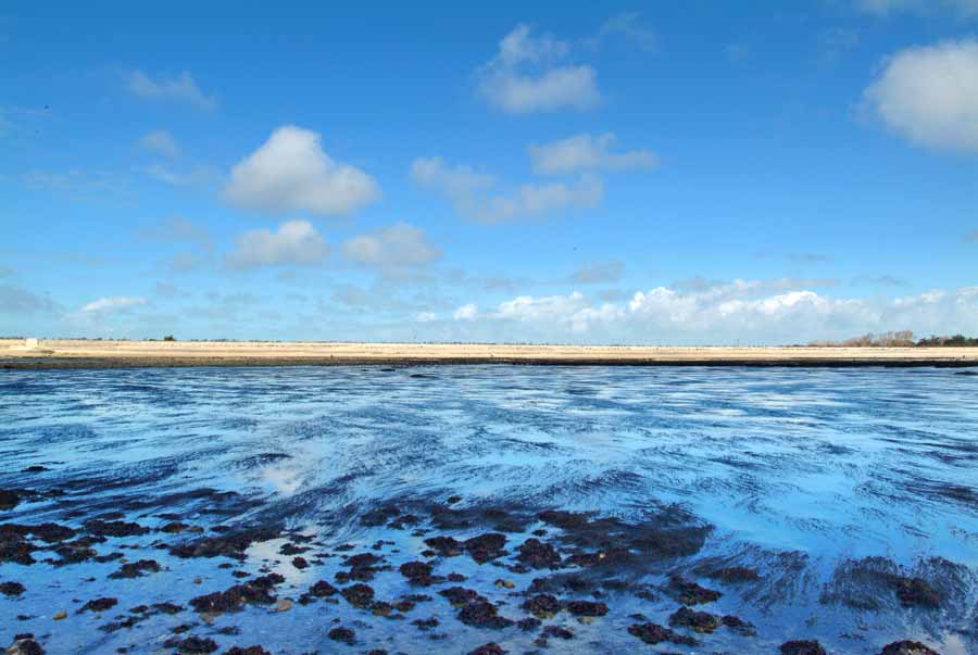 17ile-d-oleron-12-0404