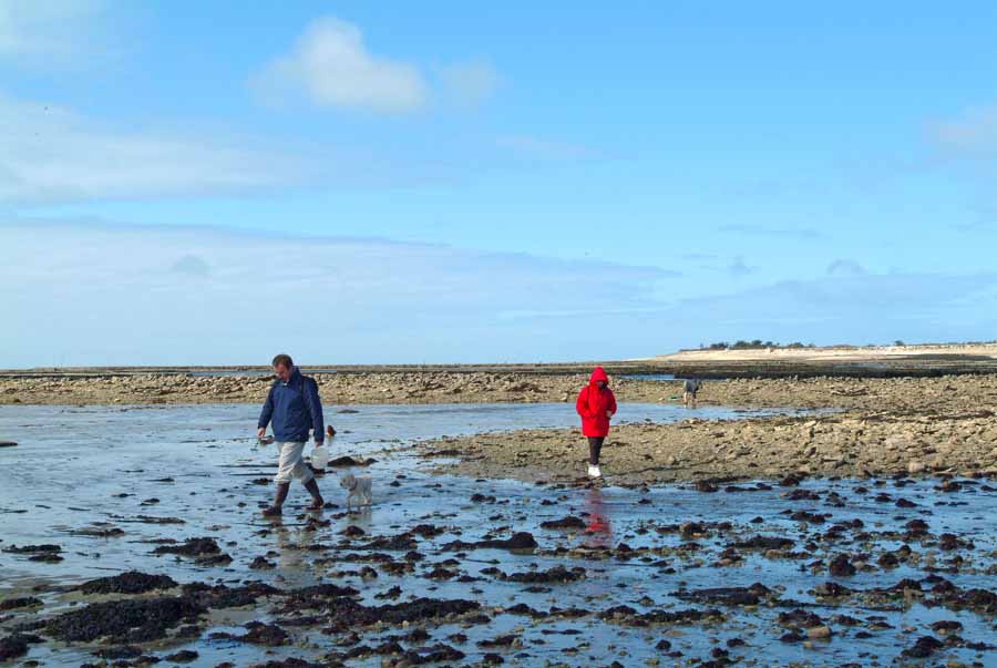 17ile-d-oleron-13-0404