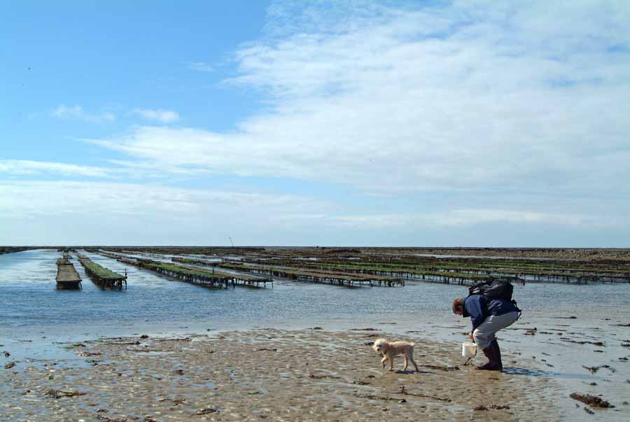 17ile-d-oleron-14-0404