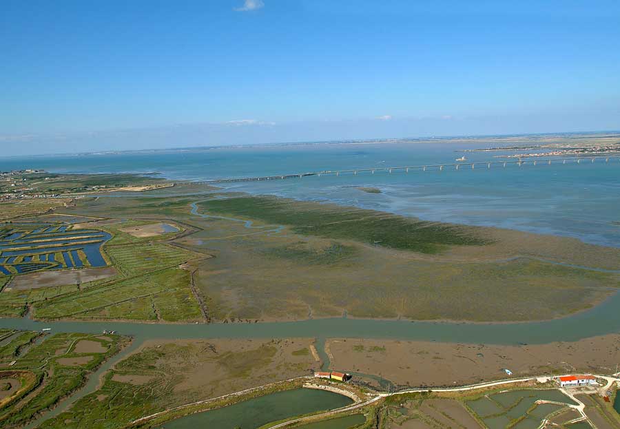 17ile-d-oleron-17-e03