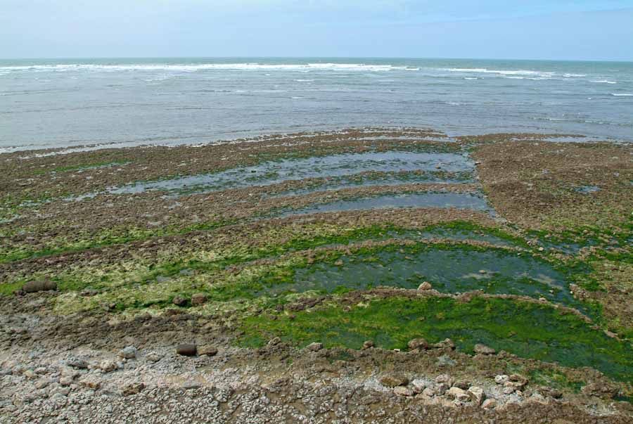 17ile-d-oleron-3-0404