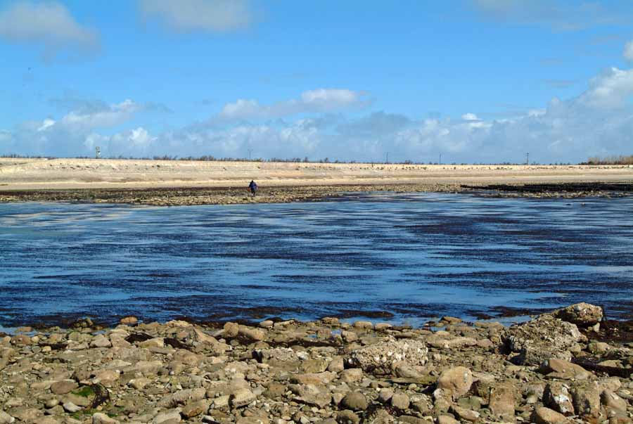 17ile-d-oleron-5-0404