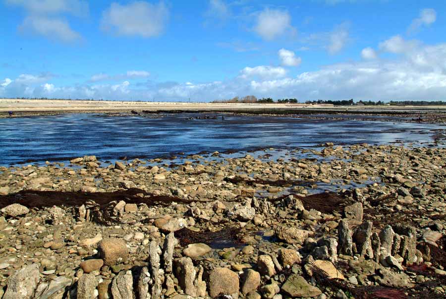 17ile-d-oleron-6-0404