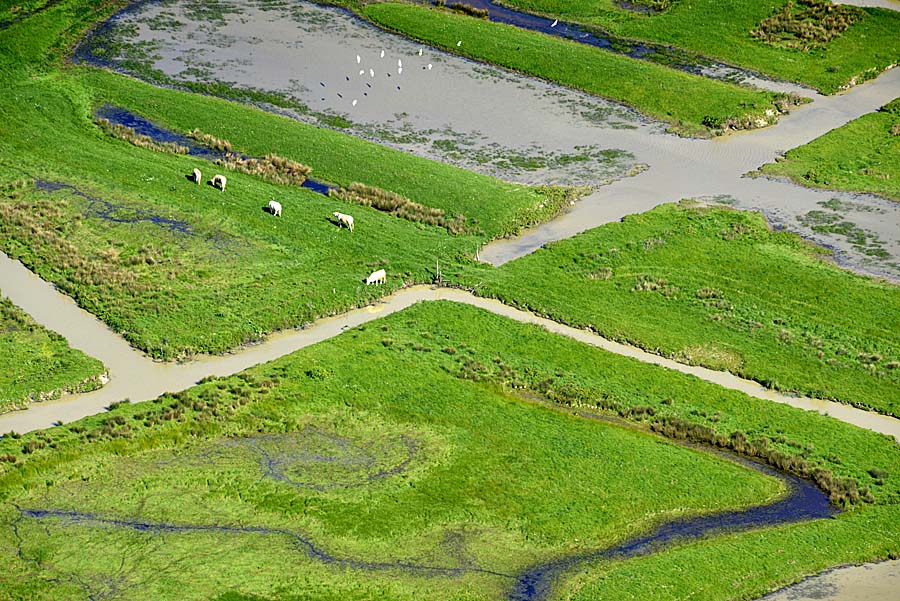 17marais-charente-14-0414