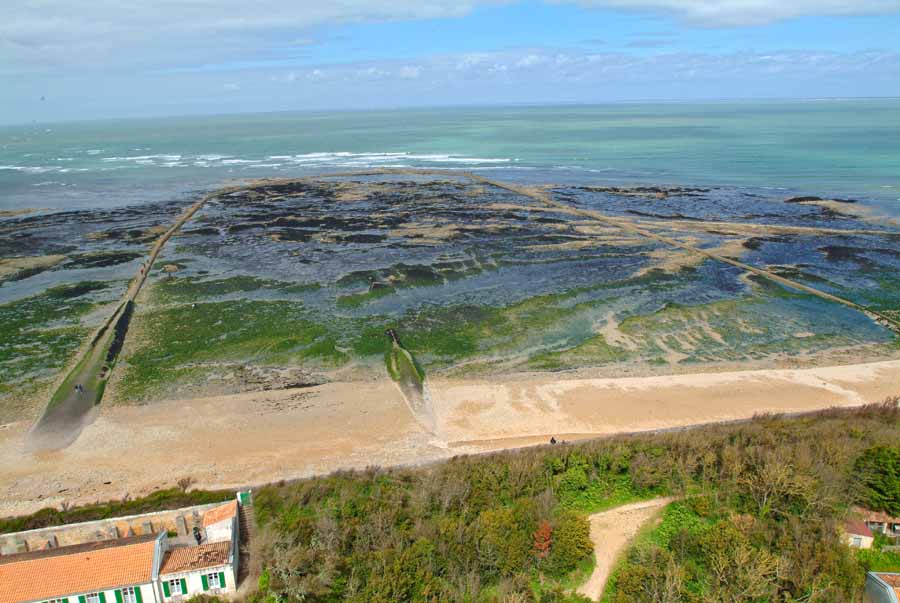 17phare-des-baleines-4-0404