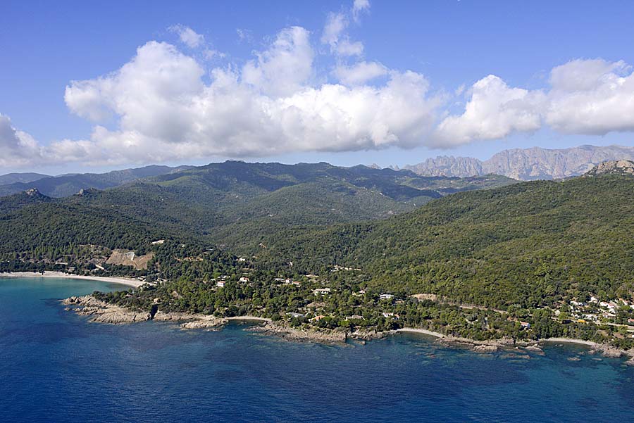 20cannella-1-0913