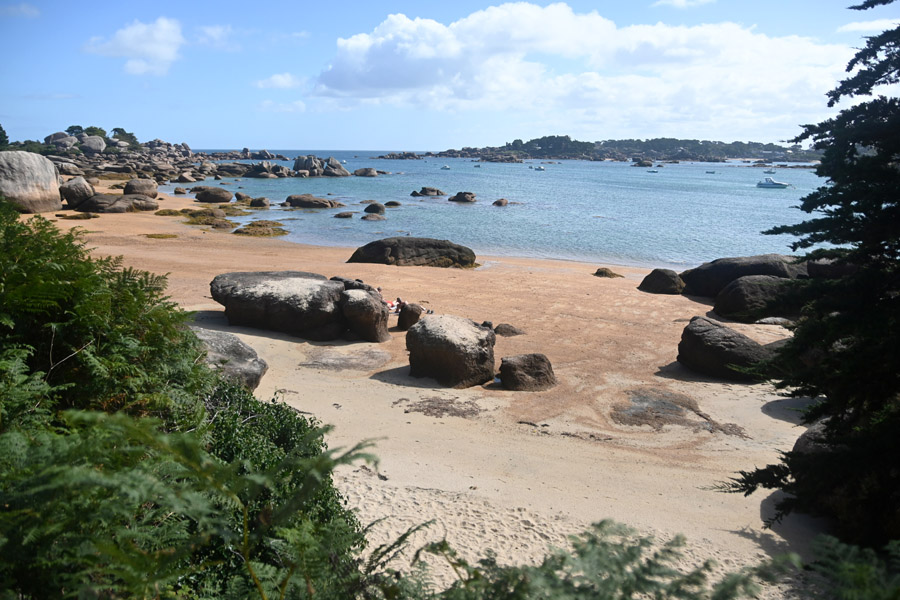 22ile-renote-11-0823