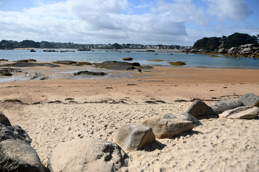 22ile-renote-7-0823