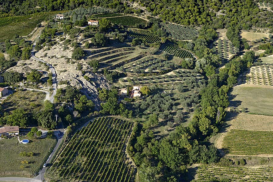 26oliveraies-drome-15-0915