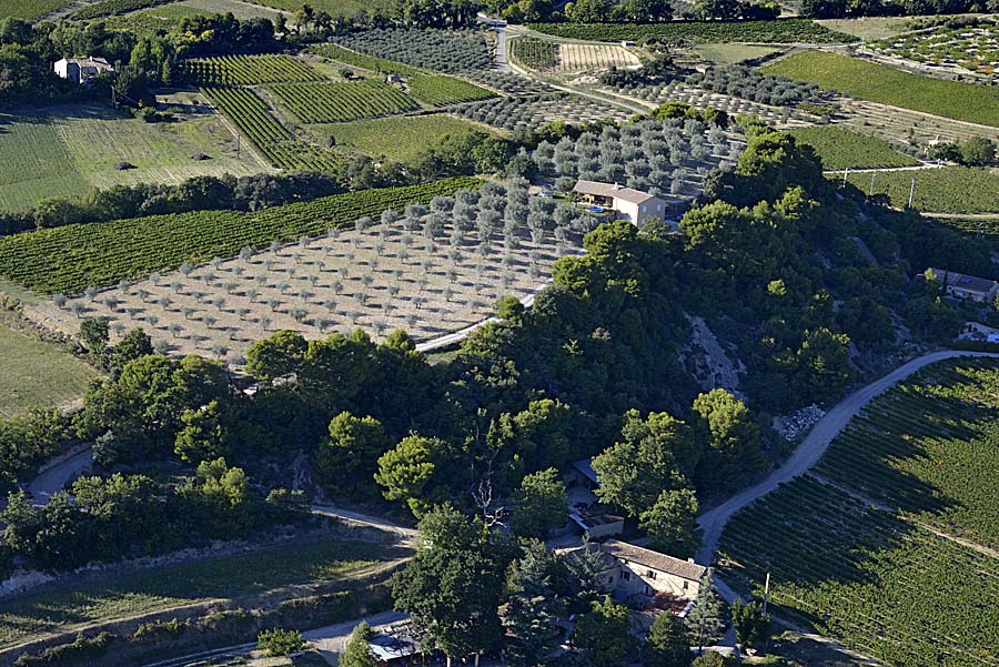 26oliveraies-drome-16-0915