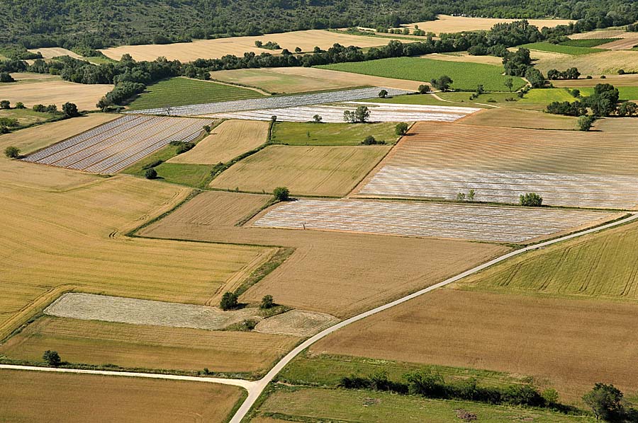 30agriculture-29-0610