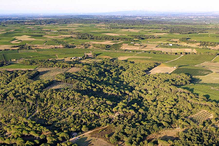 30costieres-du-gard-4-0707