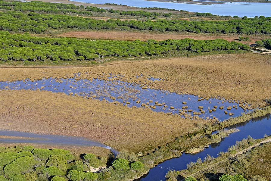 30etang-du-cabri-9-1009