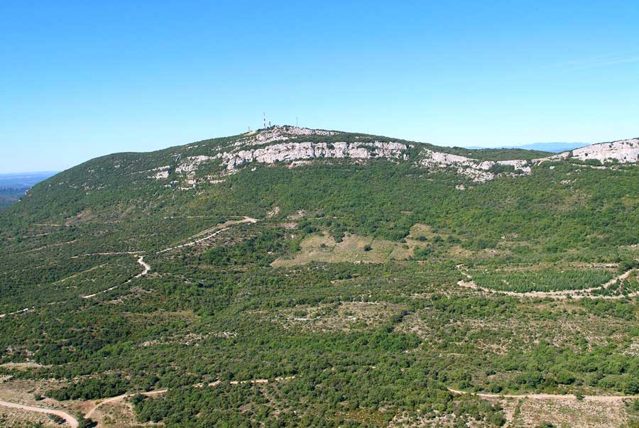 30mont-bouquet-8-0806