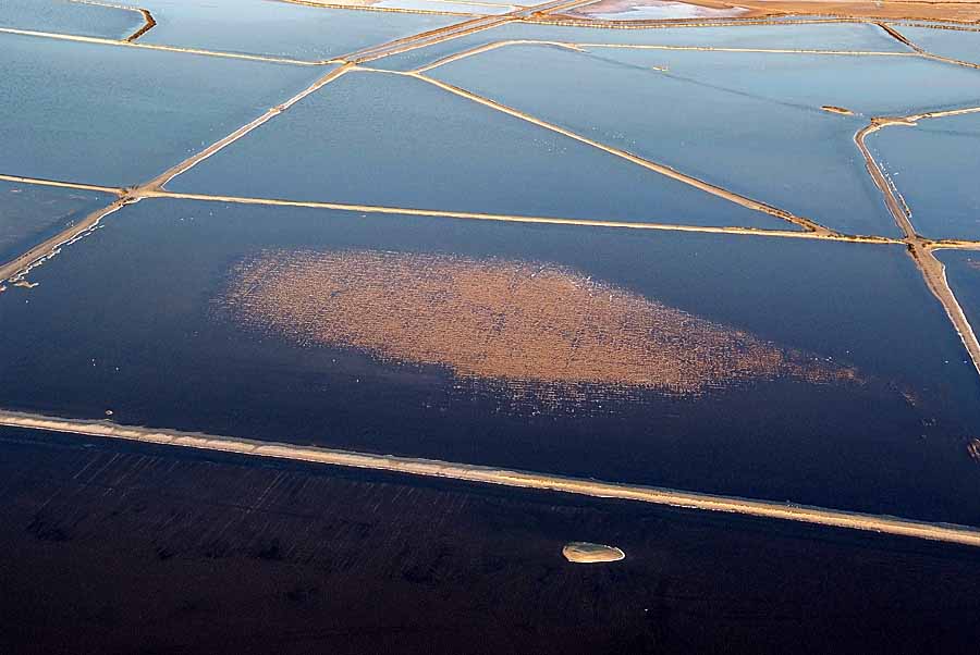 30salins-du-midi-30-0707