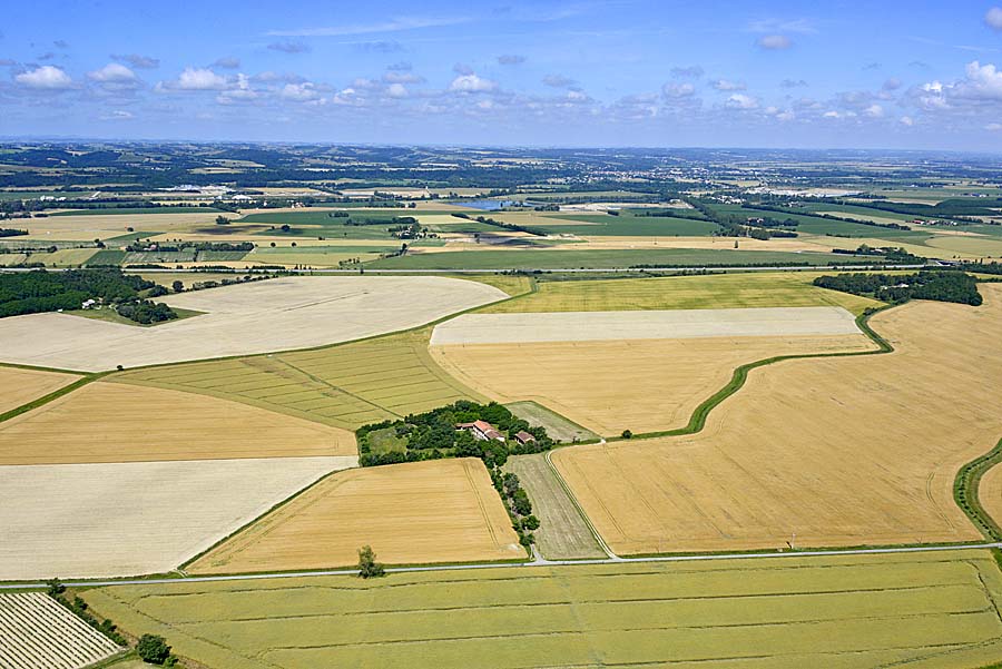 31agriculture-haute-garonne-3-0619