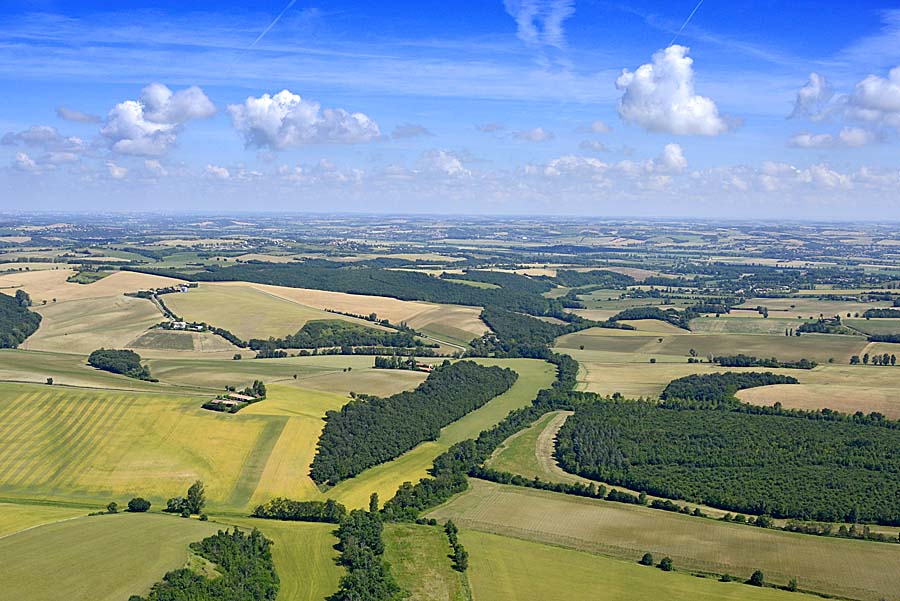 31agriculture-haute-garonne-7-0619