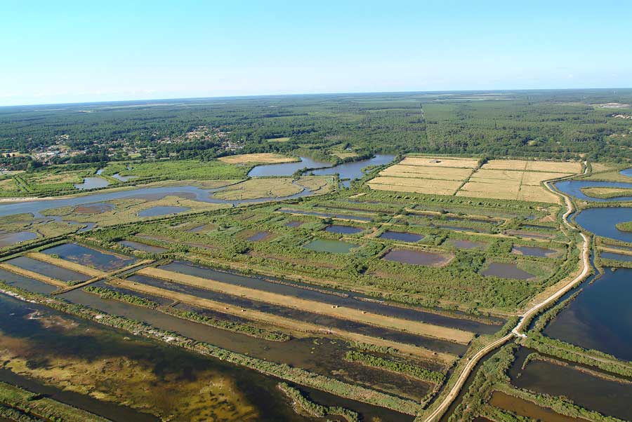 33bassin-d-arcachon-7-e03