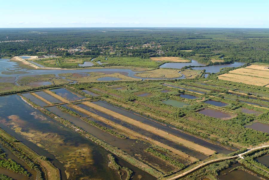 33bassin-d-arcachon-8-e03
