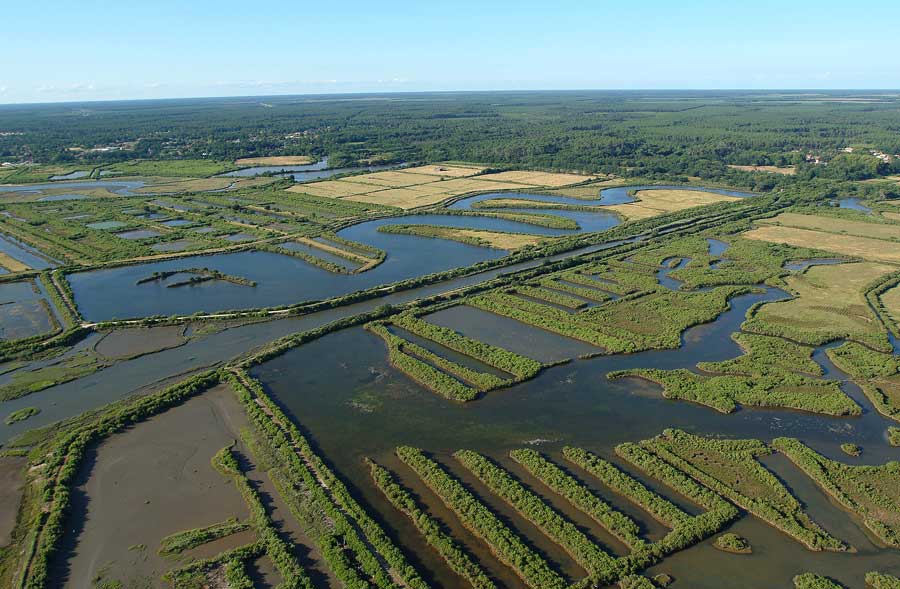 33bassin-d-arcachon-9-e03