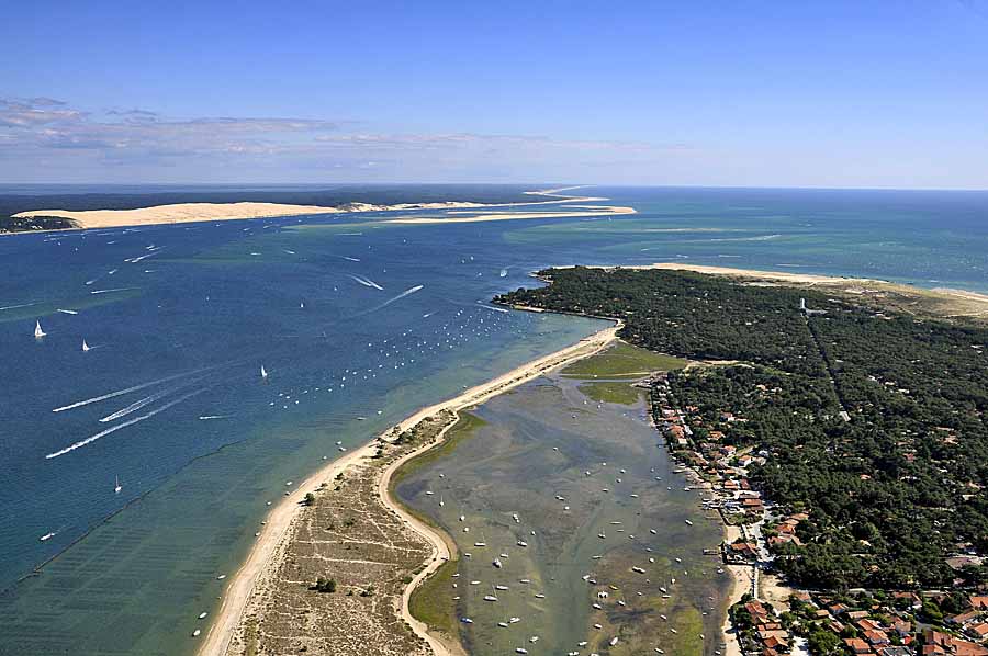 33cap-ferret-13-0708