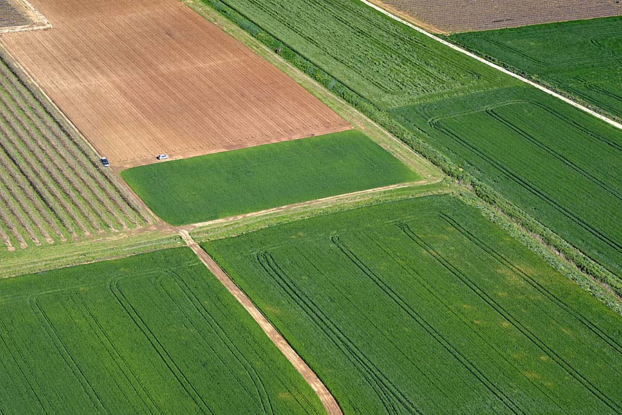 34agriculture-herault-1-0416